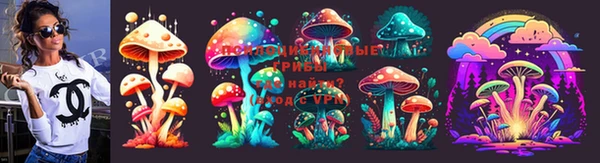сатива Беломорск