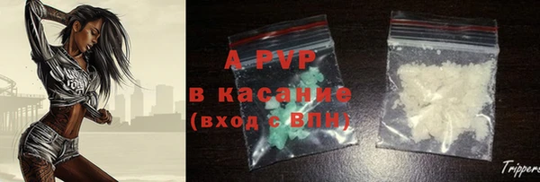сатива Беломорск