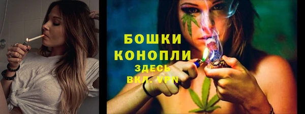 сатива Беломорск