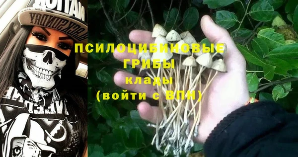 прущая мука Белокуриха