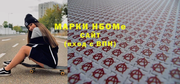 сатива Беломорск
