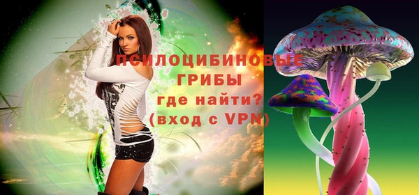 сатива Беломорск