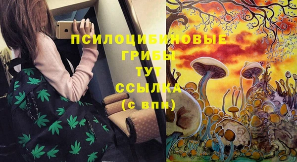 сатива Беломорск
