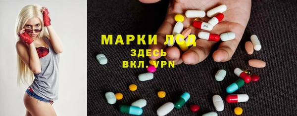 сатива Беломорск