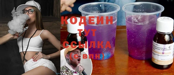 сатива Беломорск